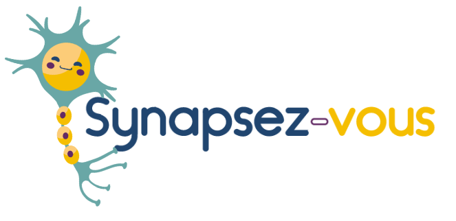 Synapsez-vous